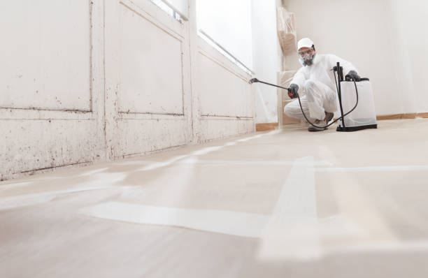24/7 Emergency Crawl Space Mold Remediation experts in Knoxville, TN