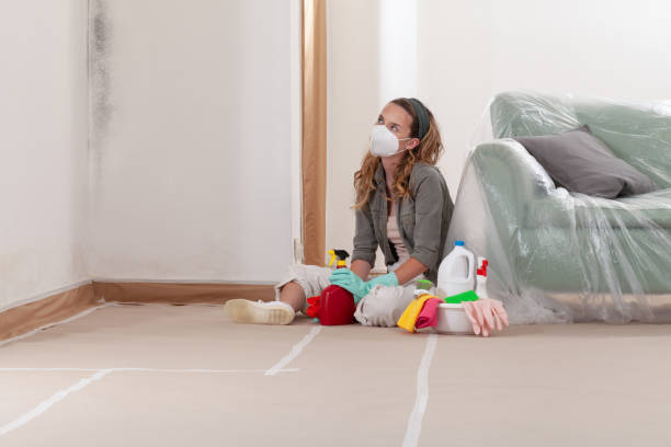Reliable Crawl Space Mold Remediation contractor in Knoxville, TN by 24 Hour Mold Removal