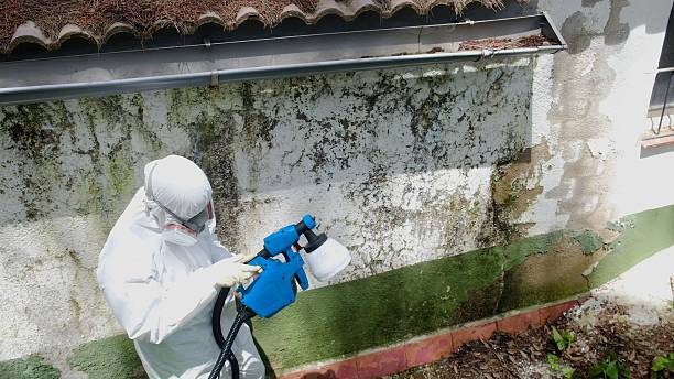 Top rated local Crawl Space Mold Remediation specialists in Knoxville, TN